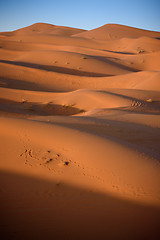 Image showing Dunes, Morocco, Sahara Desert