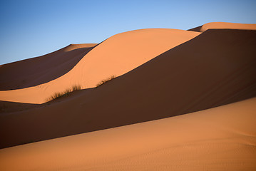 Image showing Dunes, Morocco, Sahara Desert