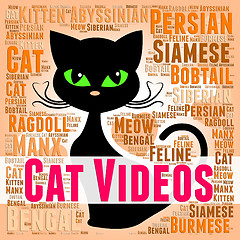 Image showing Cat Videos Shows Kitty Feline And Pet
