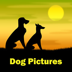 Image showing Dog Pictures Indicates Canines Evening And Outdoor