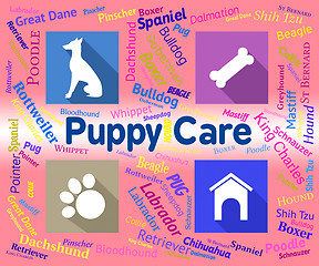 Image showing Puppy Care Shows Looking After And Canines