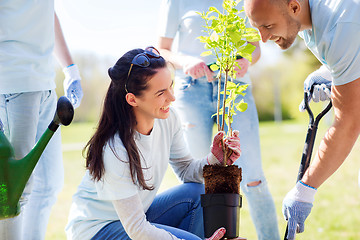 Image showing group of volunteers planting tree in park