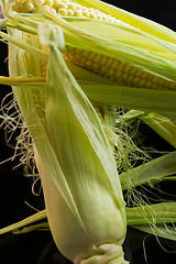 Image showing Fresh corn on the cob over a black background