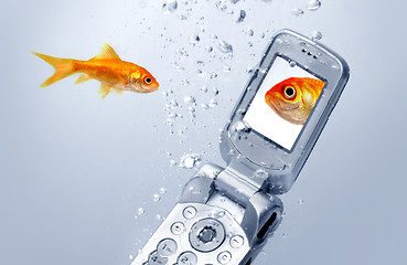 Image showing A goldfish swims by a cell phone