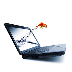 Image showing Goldfish jump