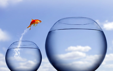 Image showing goldfish jumping out of the water