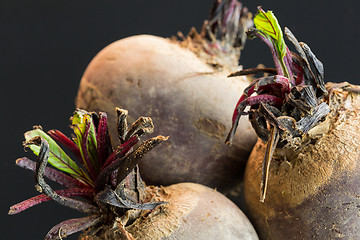 Image showing Three farm fresh raw beetroot