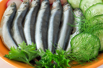 Image showing Small salted fish anchovies on the plate with cucumber and herbs