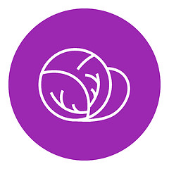 Image showing Cabbage line icon 