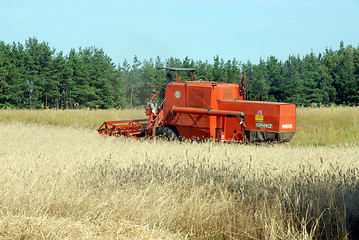 Image showing combine harvester