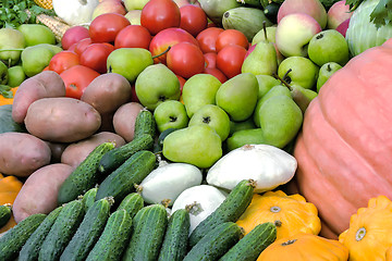 Image showing Vegetable harvest is sold at the fair.