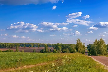 Image showing Summer landscape on a clear Sunny day.