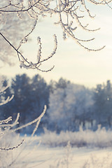 Image showing winter landscape of snow-covered fields, trees 