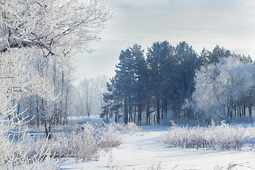 Image showing winter landscape of snow-covered fields, trees 