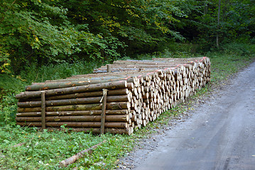 Image showing wood piles
