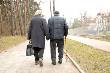 Image showing senior couple strolling