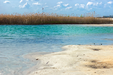 Image showing Landscape with reed island in the turquoise lake