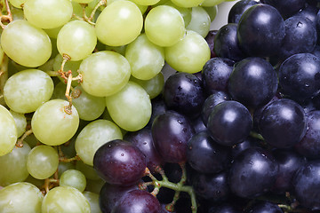 Image showing Grape cluster