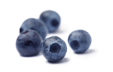 Image showing  Blueberry on white