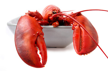 Image showing red lobster isolated on white background