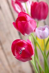 Image showing red fresh tulips flowers on wooden background