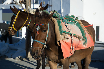 Image showing Oia, Santorini, Greece