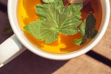 Image showing Top view of tea with currant leaf in white cup
