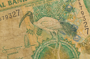 Image showing 10 Gambian dalasi bank note