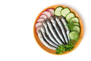 Image showing Small salted fish anchovies on the plate with cucumber and herbs