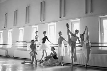 Image showing The seven ballerinas at ballet bar