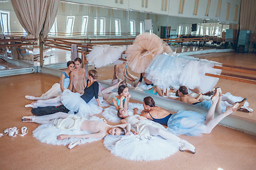 Image showing The seven ballerinas against ballet bar