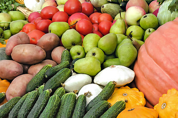 Image showing Vegetable harvest is sold at the fair.