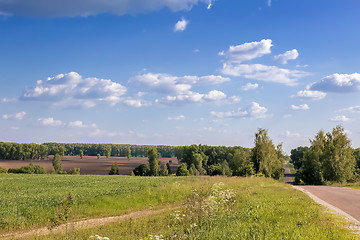 Image showing Summer landscape on a clear Sunny day.