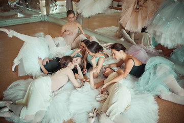 Image showing The seven ballerinas against ballet bar