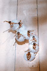 Image showing The seven ballerinas on floor