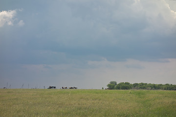 Image showing rainy sky backgound