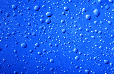 Image showing  Water Drops