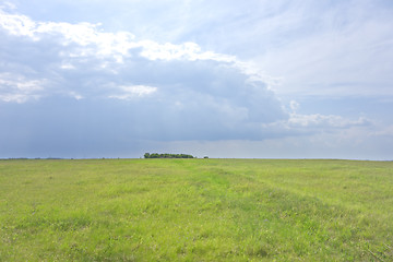 Image showing green field landscape