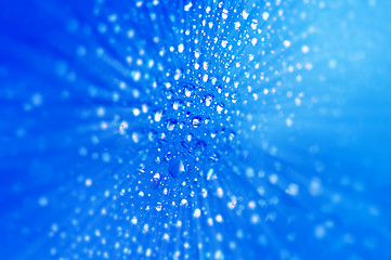 Image showing Water Drops