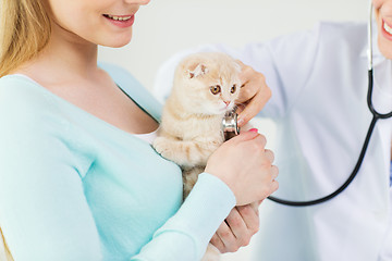 Image showing close up of vet with stethoscope and cat at clinic