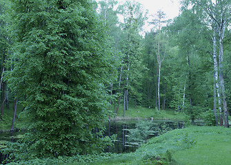 Image showing Forest lake