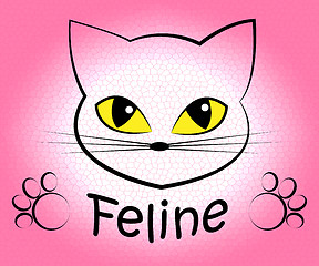 Image showing Feline Cat Means Pets Pet And Felines