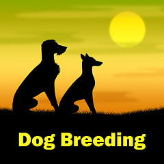 Image showing Dog Breeding Means Puppies Puppy And Darkness