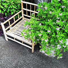 Image showing Bamboo chair and blooming plants