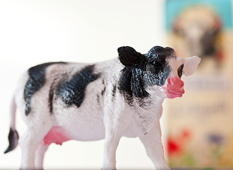 Image showing Miniature cow