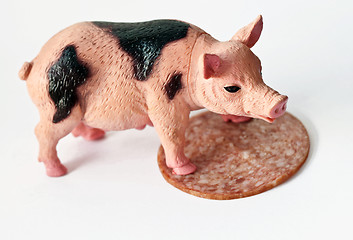 Image showing Miniature Pig with a slice of saussage