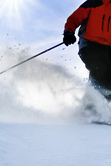 Image showing The skier