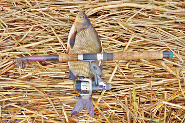 Image showing  fishing rod with big bream 