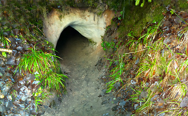 Image showing lost the entrance to the cave 