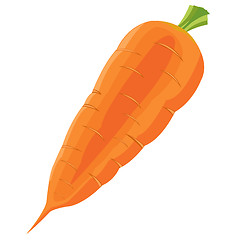 Image showing Illustration carrot